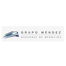 Grupo Méndez, Asesores de Negocios